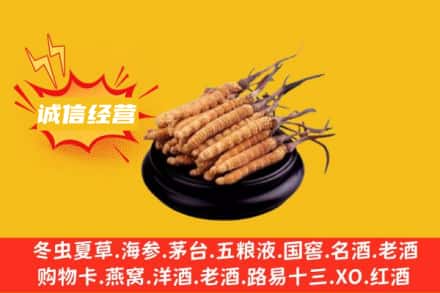 常州回收冬虫夏草